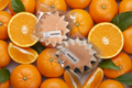 Mandarin fully loaded wax melts