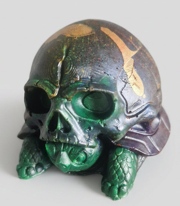Halloween skull shell  tortoise