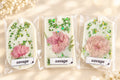 Highly scented savage wardrobe fresh Sashet