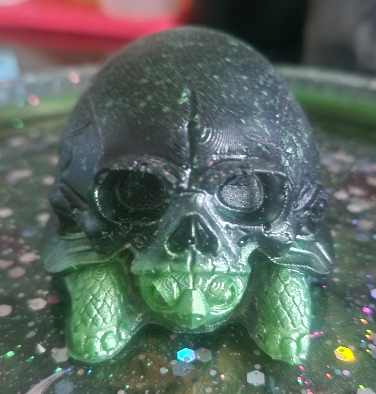 Halloween skull shelled tortoise
