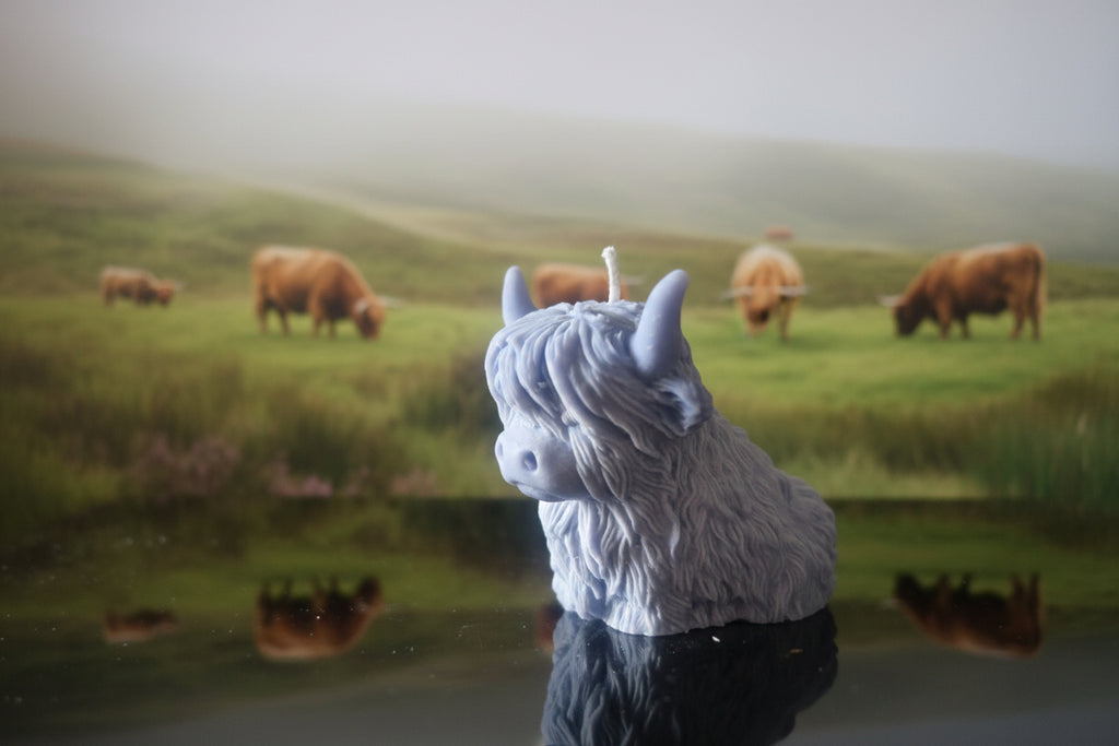 Highland Cow candle