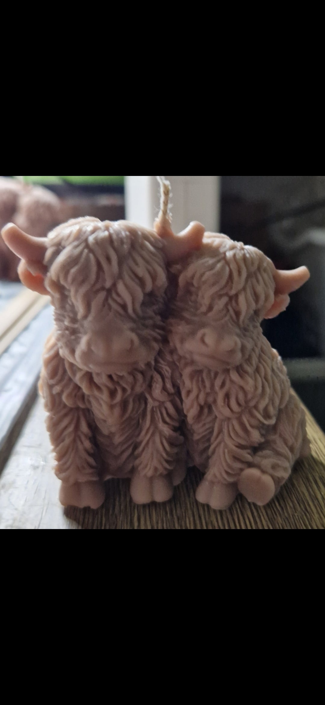 Snuggling Highland cow  candle