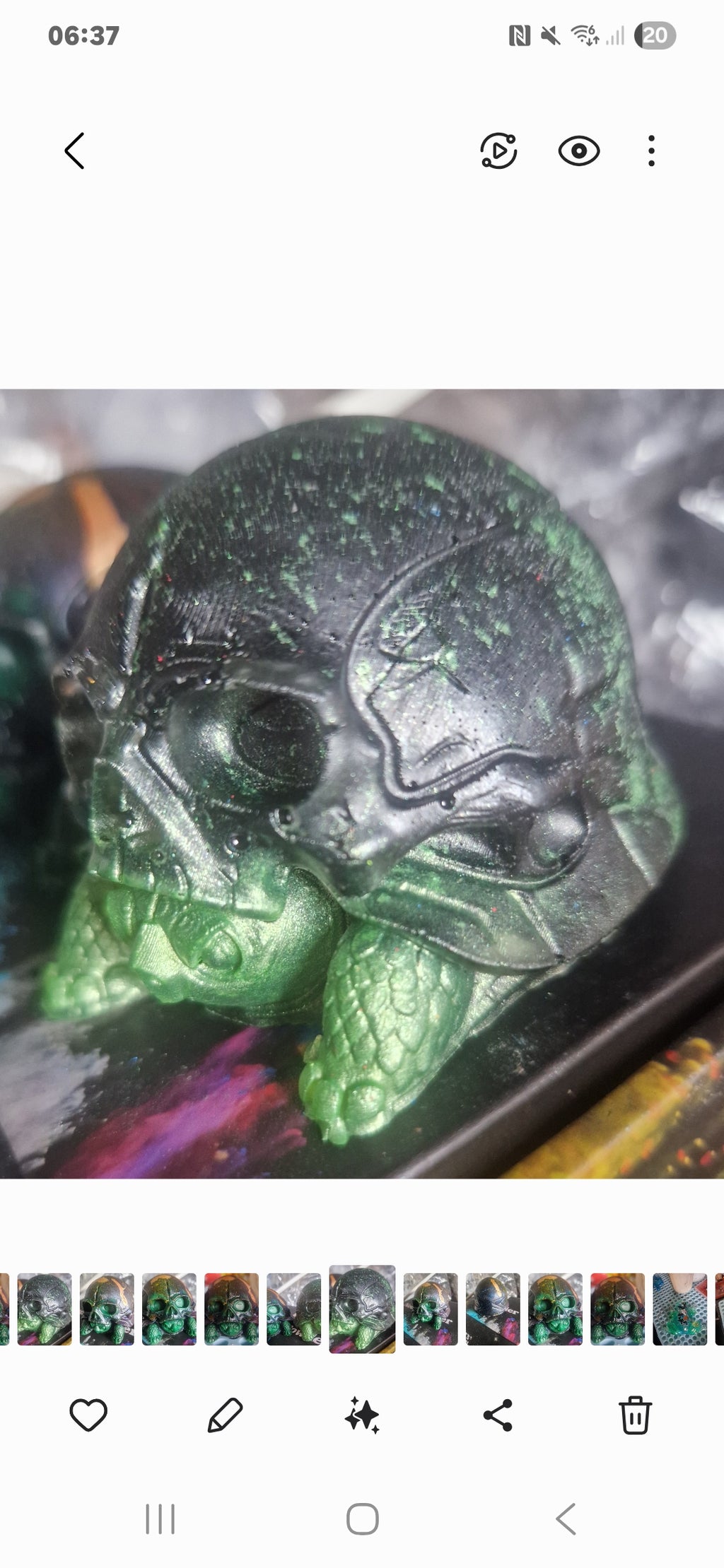 Halloween skull shelled tortoise