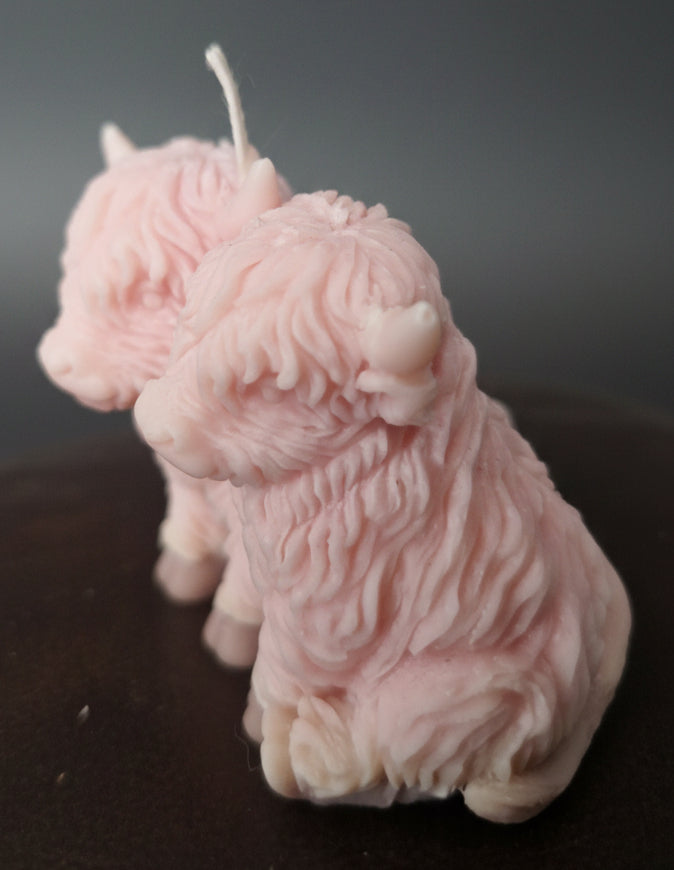 Snuggling Highland cow candle - Bum Bum Cream