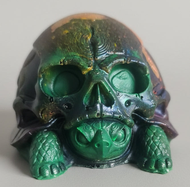 Halloween skull shell  tortoise