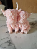 Snuggling Highland cows candle