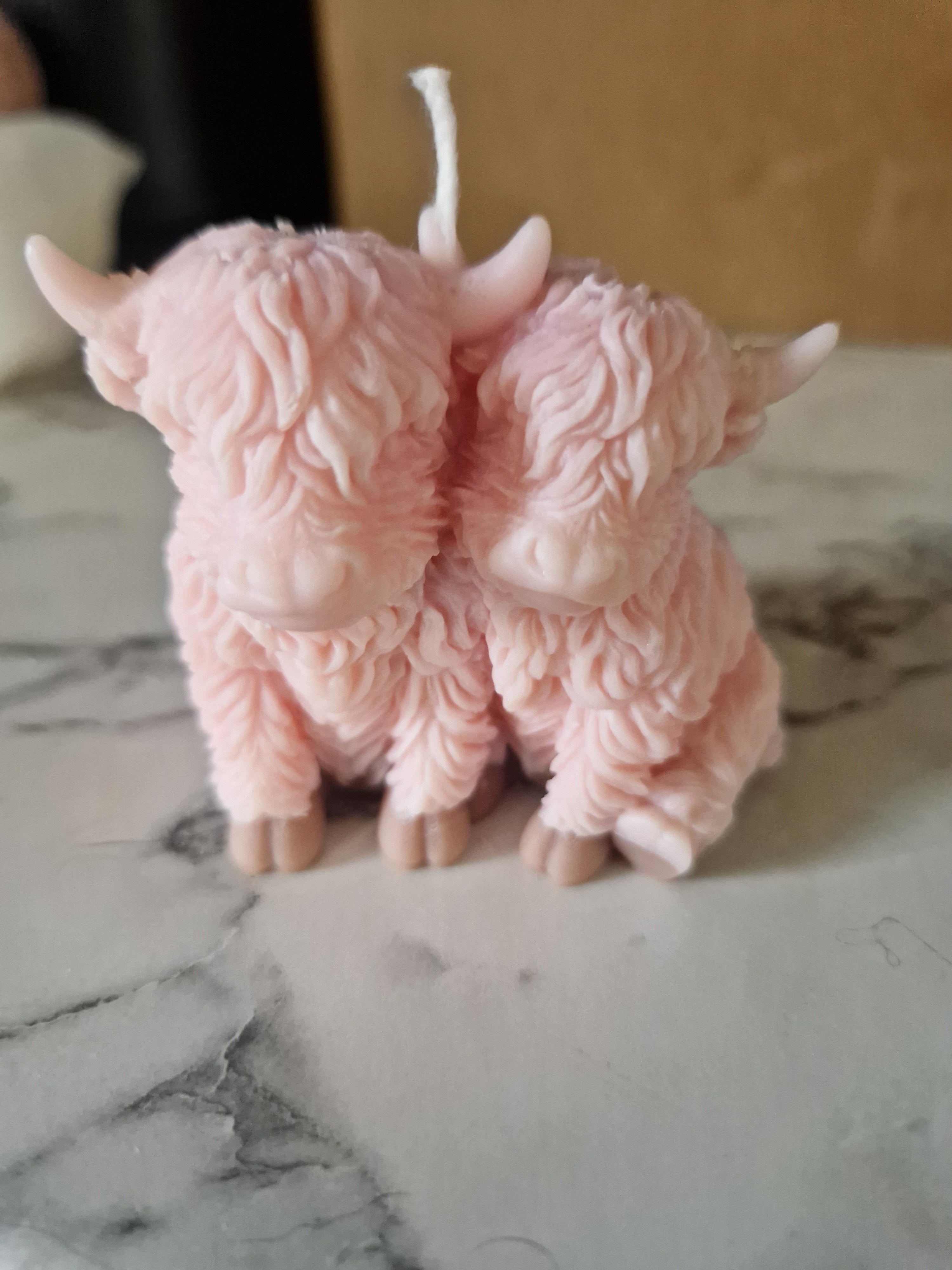 Snuggling Highland cows candle